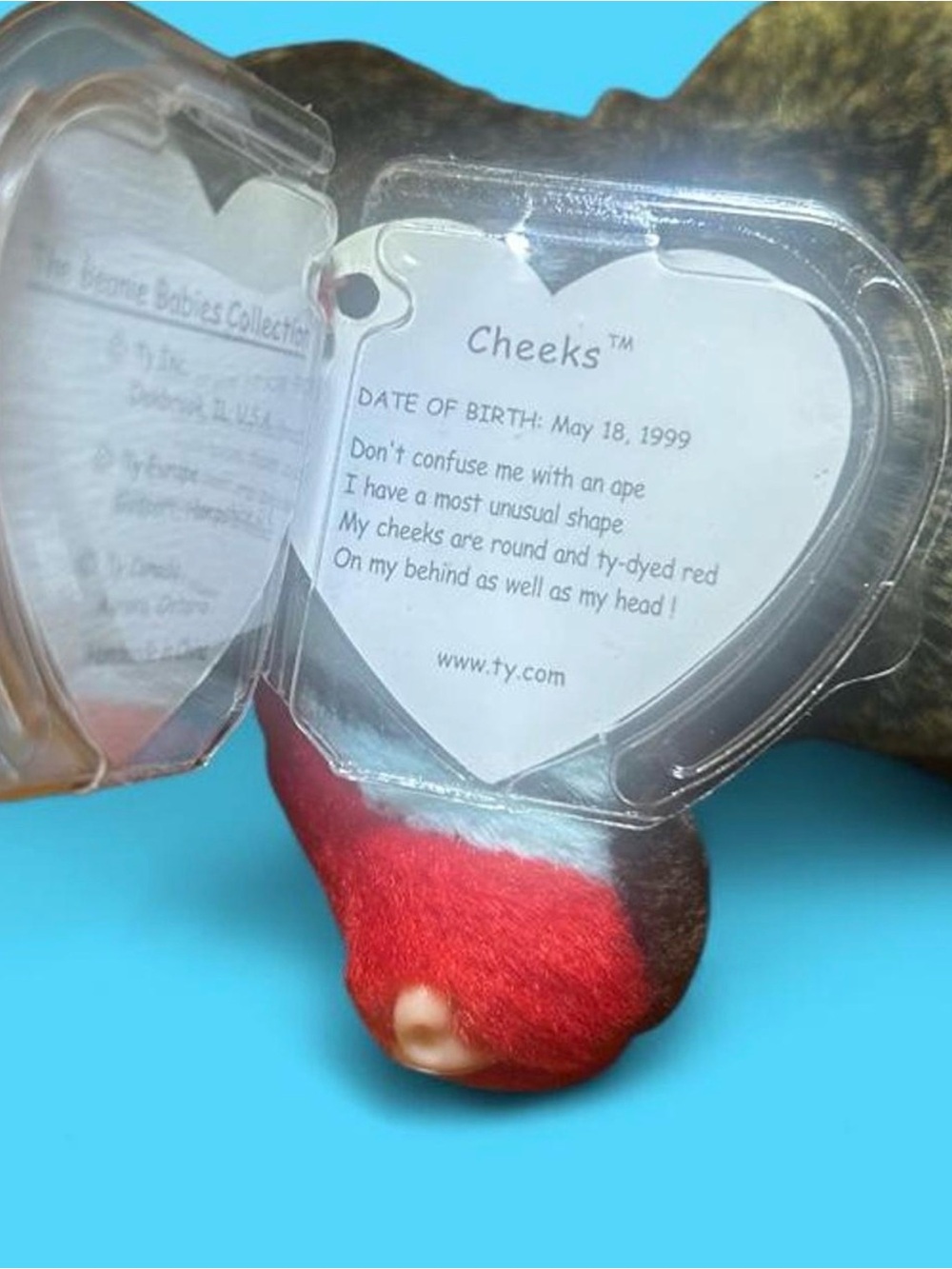 Cheeks, TY Beanie Baby - Picture 5 of 5